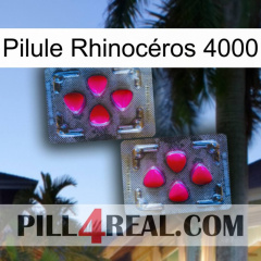 Pilule Rhinocéros 4000 15